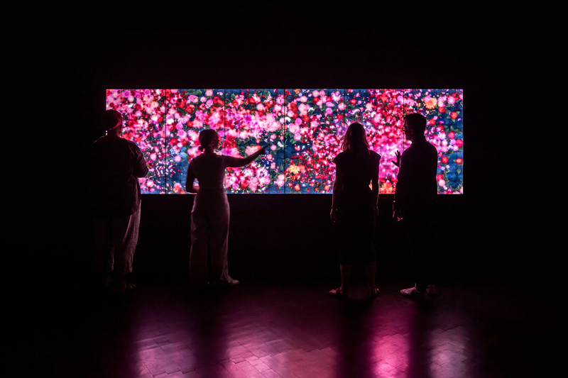 “Flowers and People — A Whole Year Per Hour,” by teamLab.