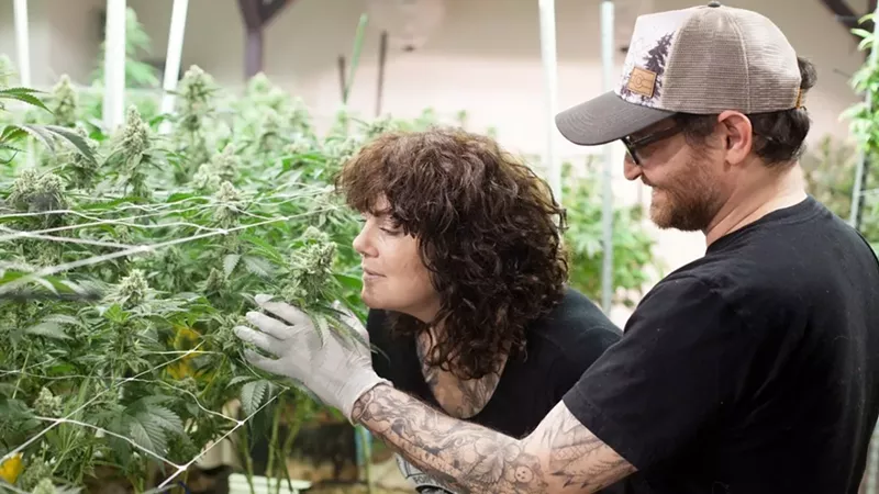Image: Kristin and Danny Murr-Sloat of AlpinStash in "Our Ten Favorite Marijuana Photos of 2020."