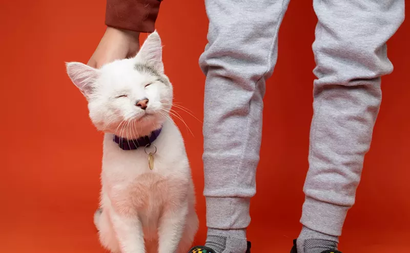 Image: The Former Dumb Friends League Reimagines Its Future as Humane Colorado