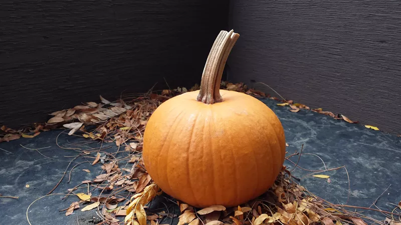 Image: Time to get your pumpkins.