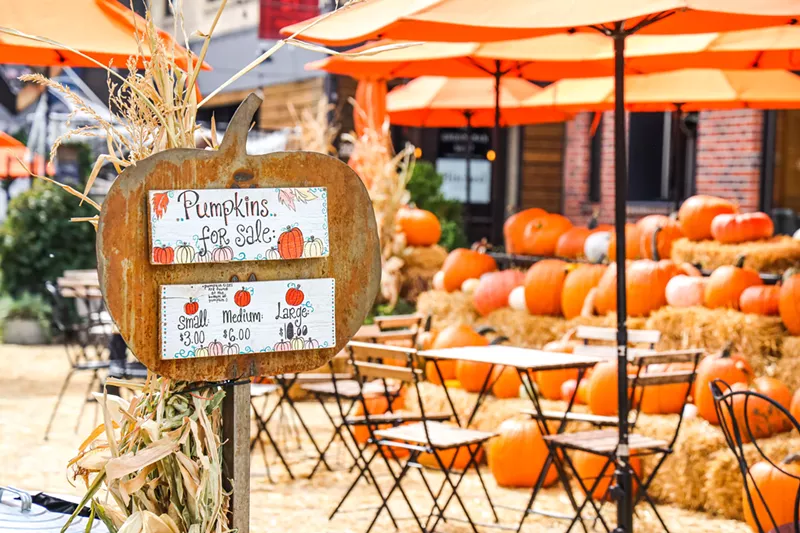 Image: The annual pumpkin patch at Little Man Ice Cream.