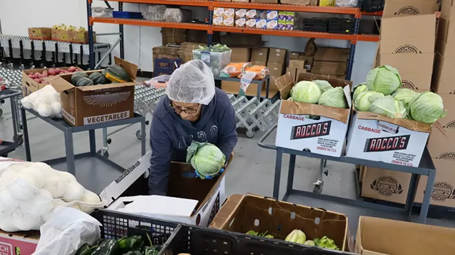 person sorting cabbages into boxes