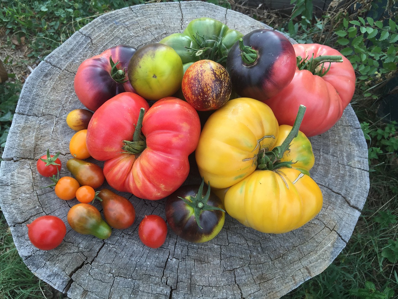 Be gone, flavorless winter tomatoes!