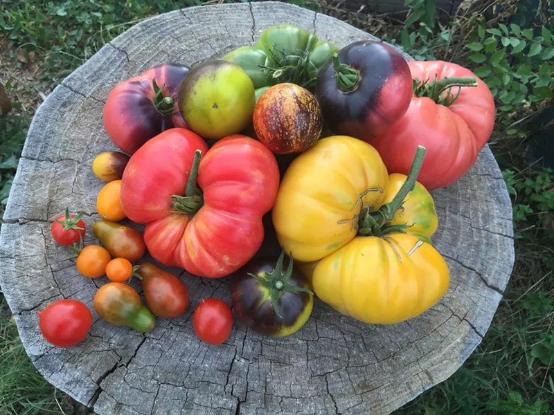 Image: Be gone, flavorless winter tomatoes!