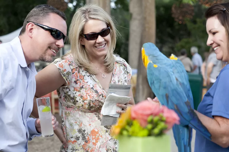 Image: Get close to macaws with your margarita at Do at the Zoo.