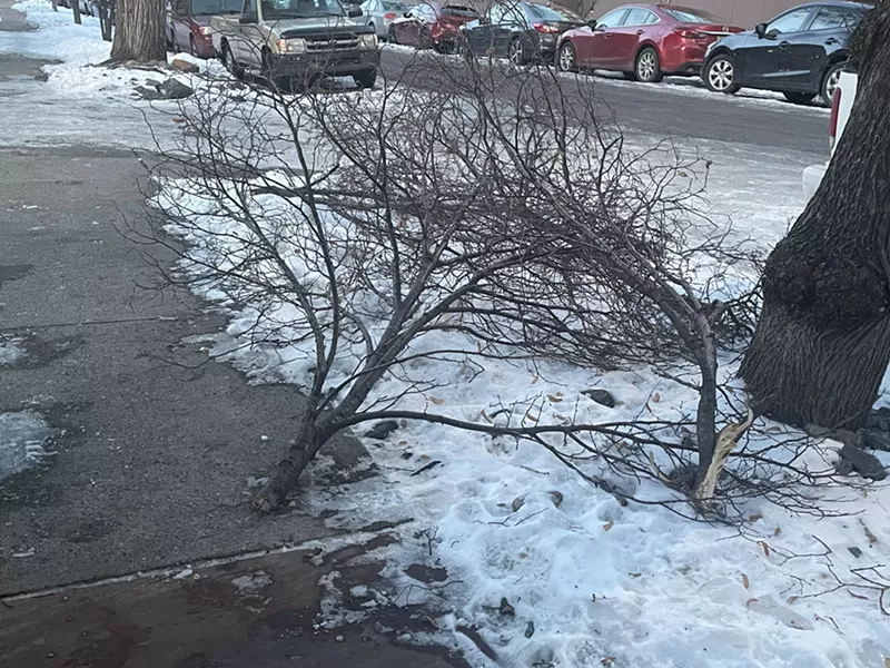 Image: Tree branches have found unfortunate new homes on the ground, and if this is in front of your house, you're on the hook for the cleanup.