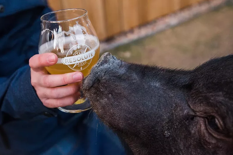 Image: Resolute Brewing is hosting you — not the three little pigs — this week for a brand-new beer.