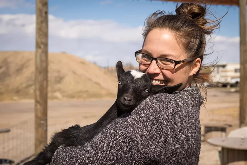 Image: Meet (don't eat) this little guy at Goats in RiNo.
