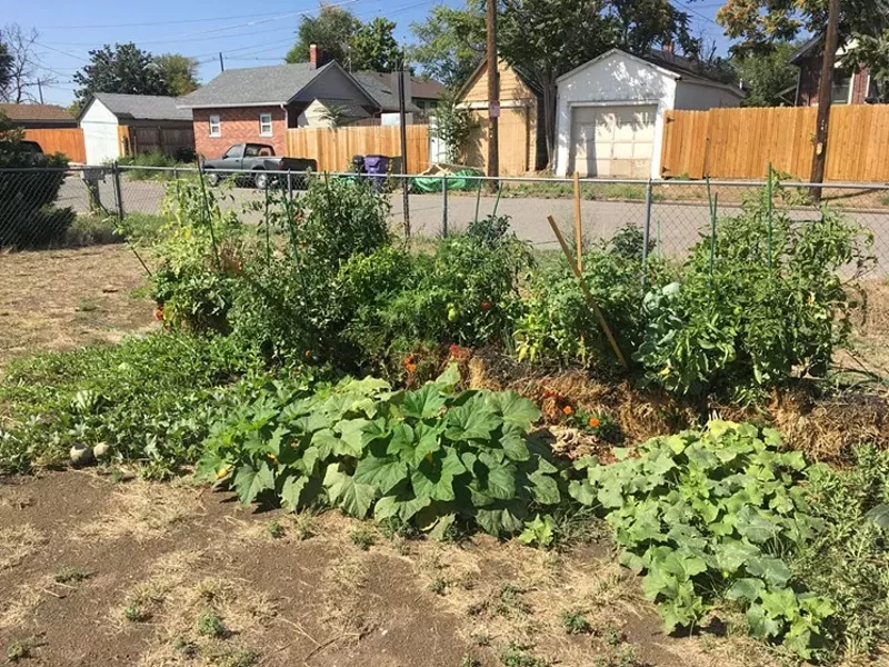 Image: Get growing in the city with help from Dirt! workshops.