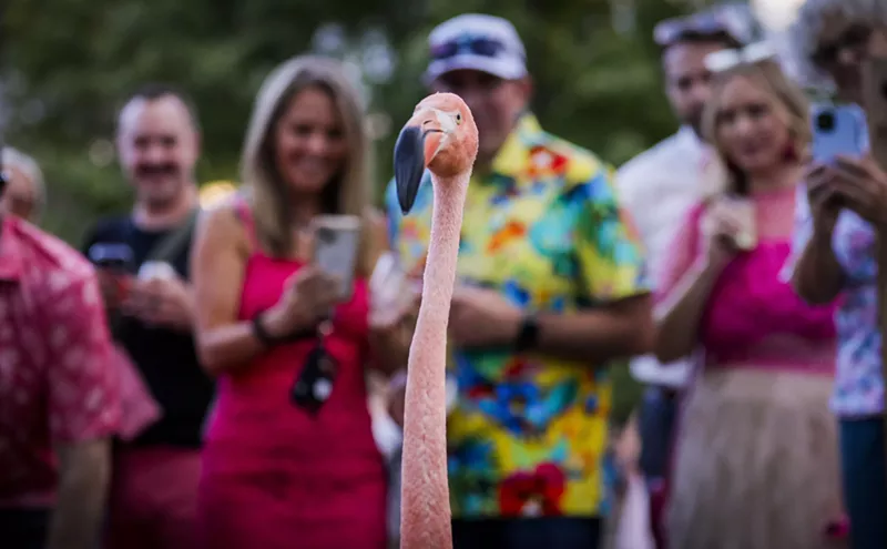 Image: Things to Do in Denver This Weekend