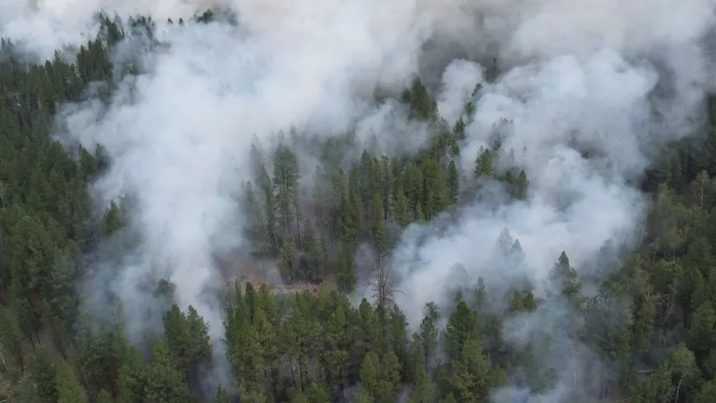 Image: An overhead view of last summer's Plateau Fire, which sparked the current underground conflagration.
