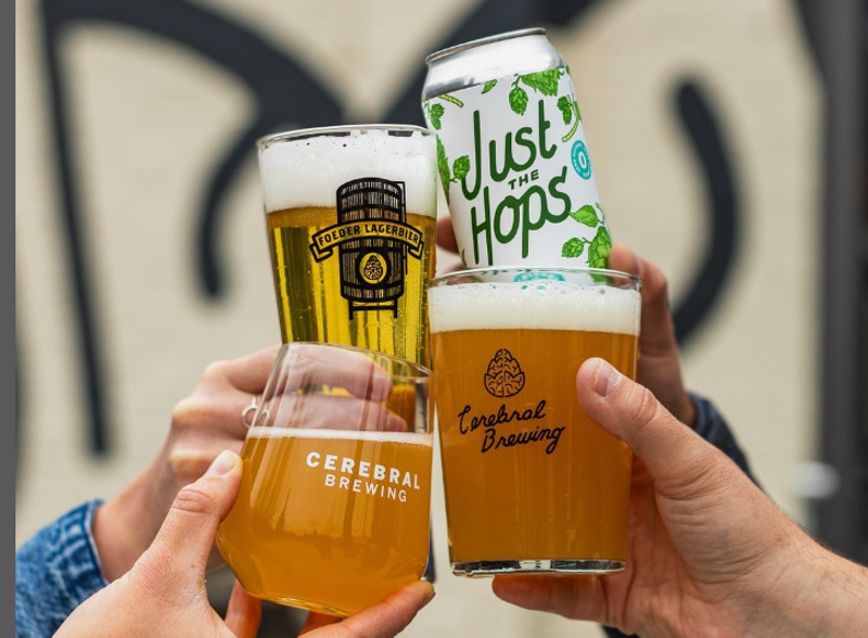 Image: hands holding glasses and cans of beer