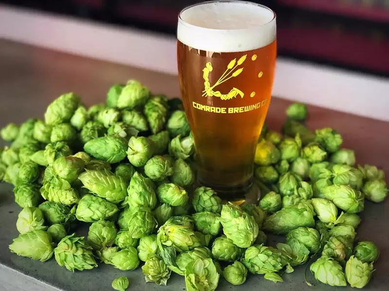 Image: Beer in a glass surrounded by hops.