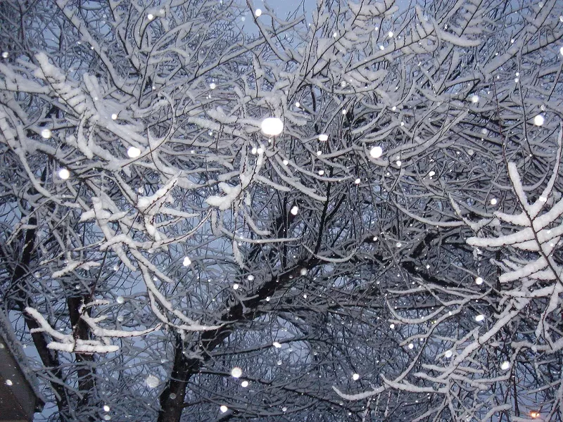 Image: Denver in January: magical, sure, but this is a little ridiculous.