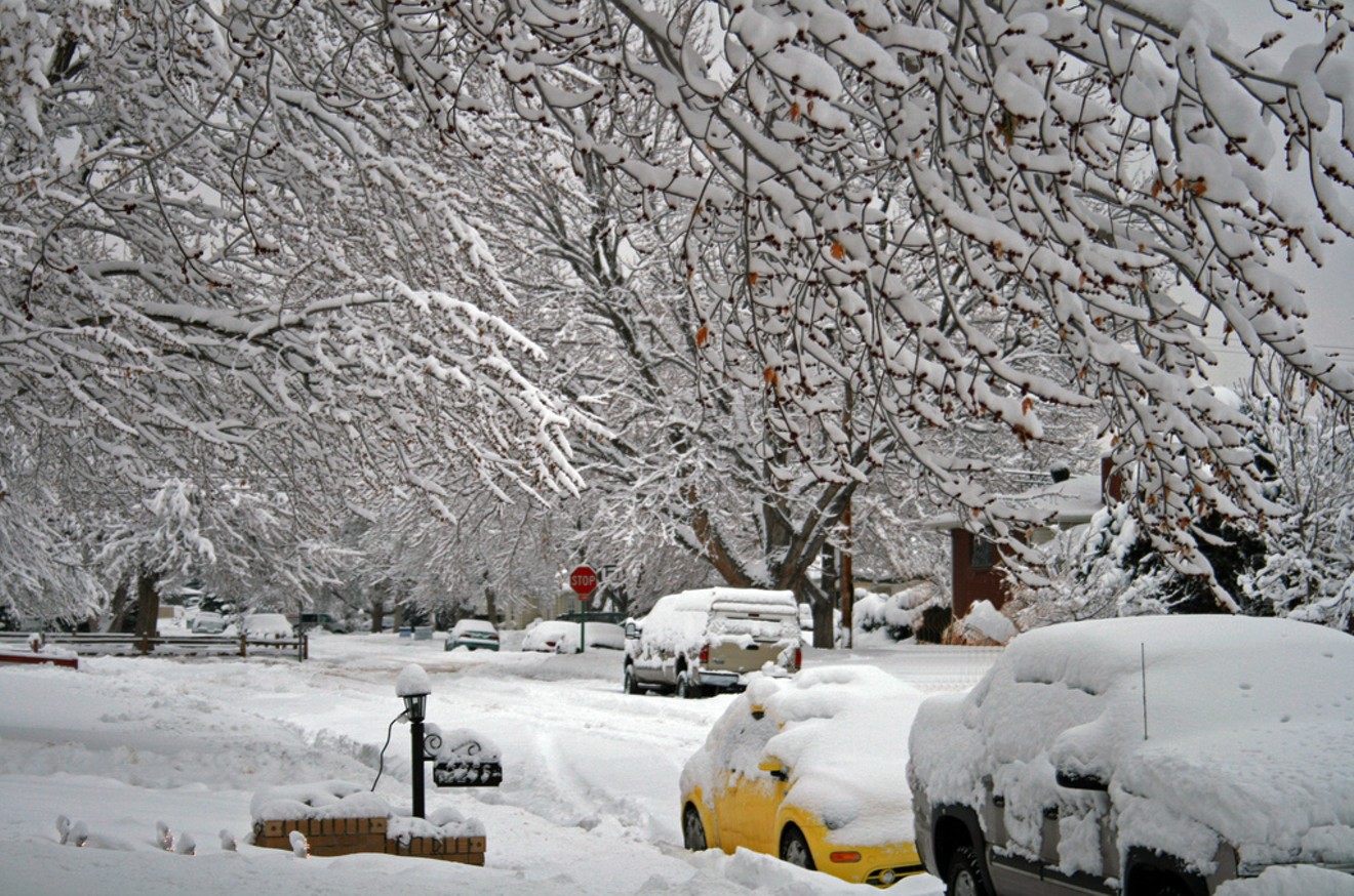 Don't worry about your car; those branches aren't coming down.