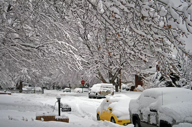Image: Don't worry about your car; those branches aren't coming down.