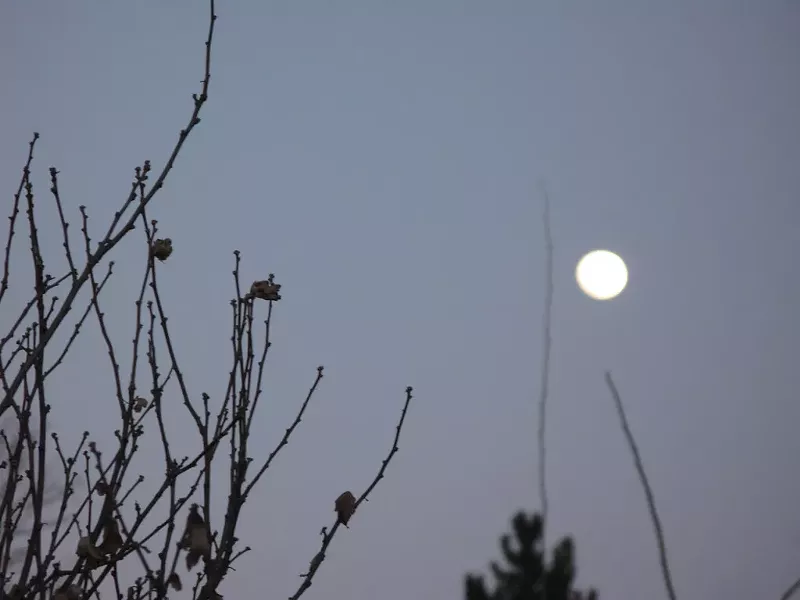Image: That's no moon. No wait...moon. You're right, totally a moon.