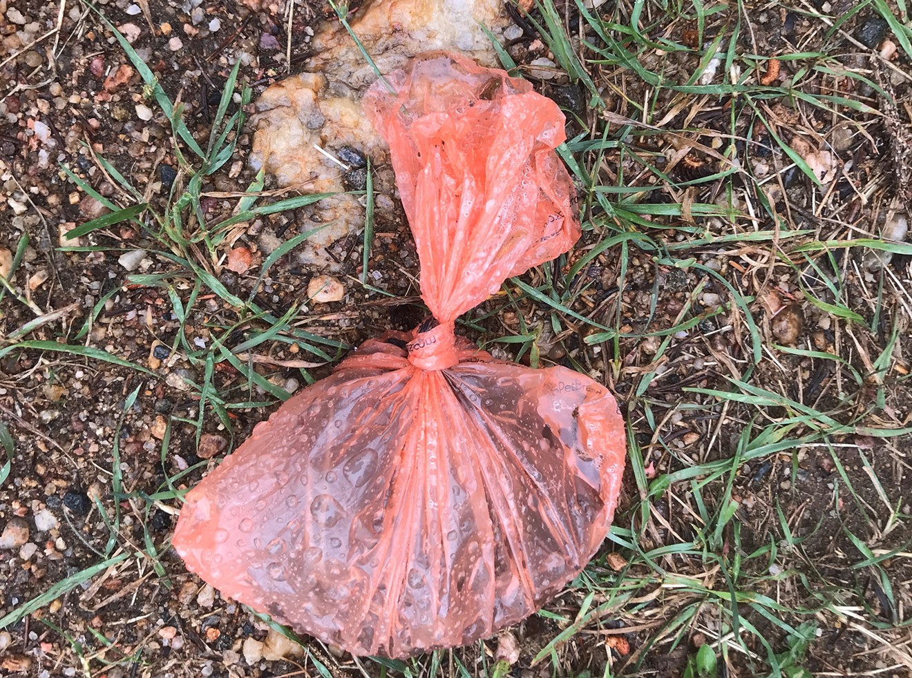 The ultimate marking of a trail jerk: the abandoned dog poop sack.