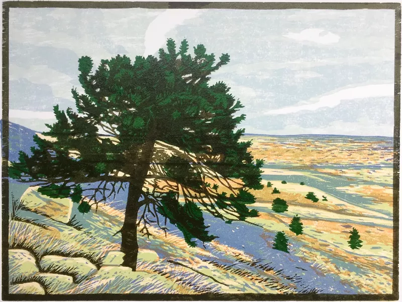 Image: Theresa Haberkorn, "Pine-Vista," woodcut.