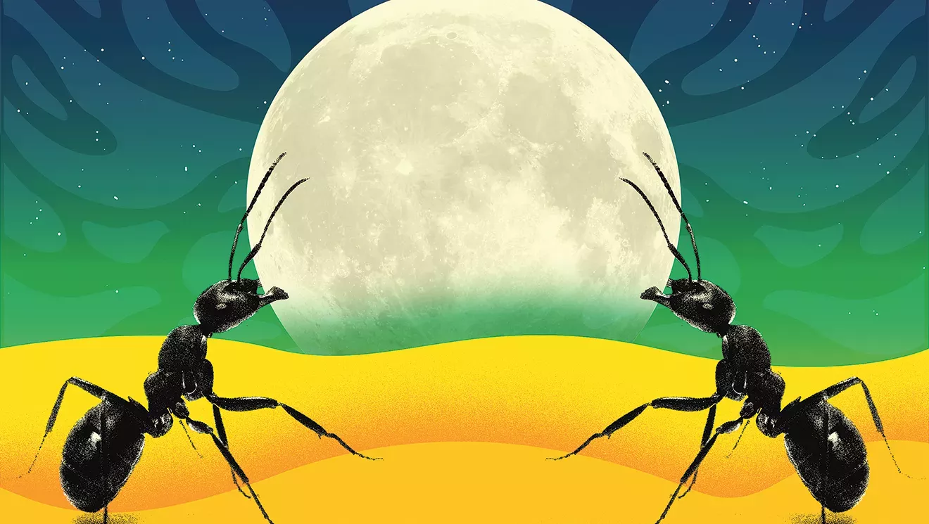 New psychedelics rules could make Ant Life a really bug deal!