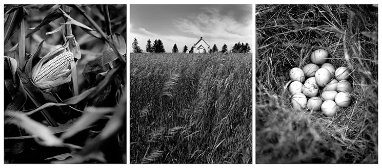 Roddy MacInnes, “South Dakota landscape triptych (where Nina Weiste’s family homestead was in the 1880s),” 2004. - COURTESY OF RODDY MACINNES