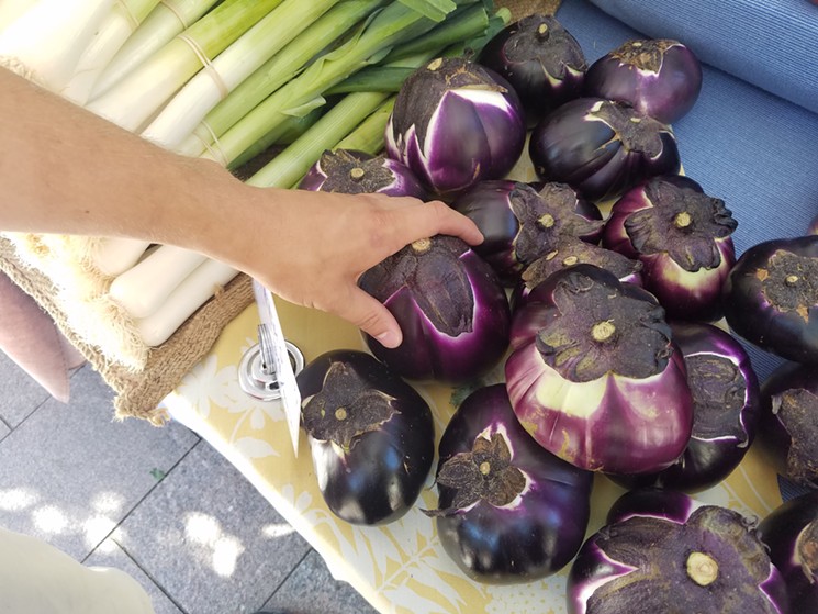 Toohey & Sons Organic has a unique heirloom eggplant option dubbed the Violetti di Firenze, which originally was grown in Italy. - LINNEA COVINGTON