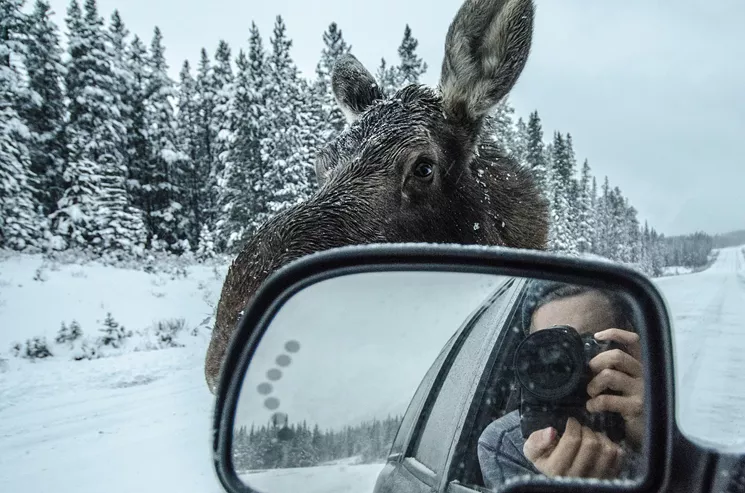 What is that, a Nikon D7000? I prefer the 810. - NICOLAJ THOMSEN AT FLICKR
