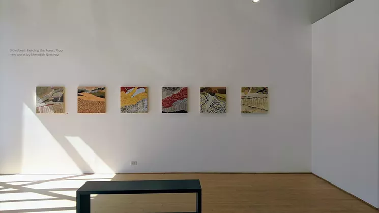 "Blowdown: Feeding the Forest Floor," by Meredith Nemirov at Michael Warren Contemporary. - MIKE MCCLUNG