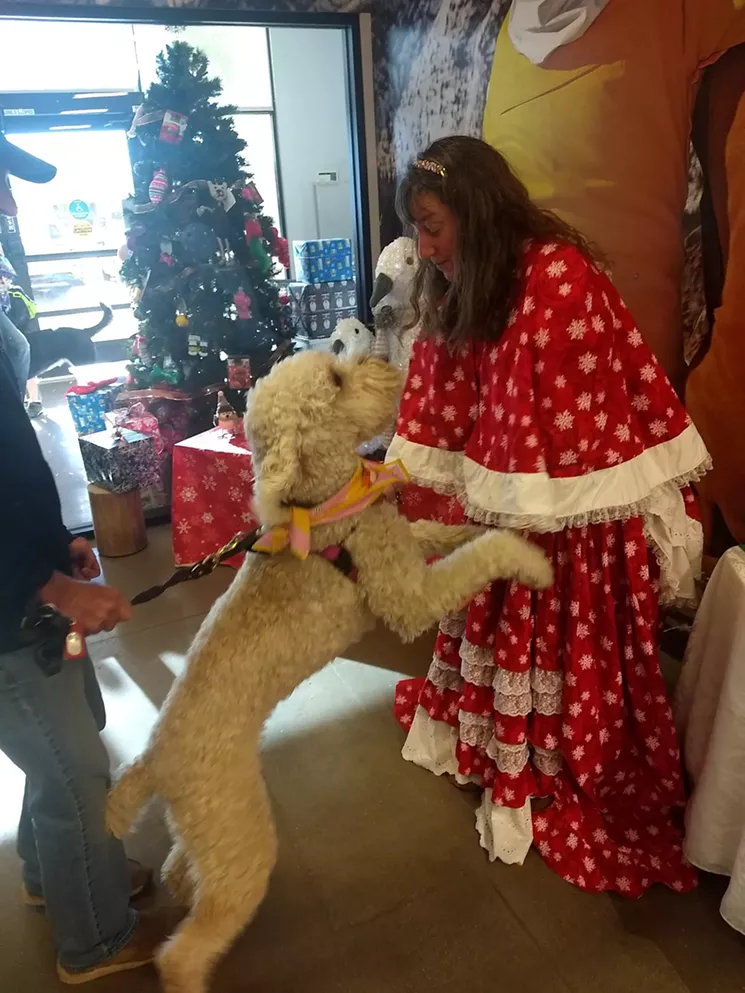 An excited Bella gets scratches and poetry from Marschak while the pup's owner, David, looks on. - KERA MORRIS