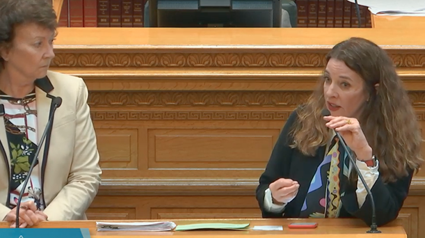 State representatives Kim Ranson (left) and Edie Hooton speak about their bill in front of the Colorado House on April 29. - THE COLORADO CHANNEL
