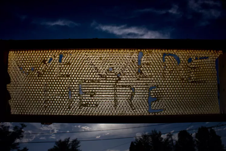 We Were Here opens on September 6 at Mai Wyn Fine Art and ReCreative Denver. - COURTESY OF LAURI LYNNXE MURPHY