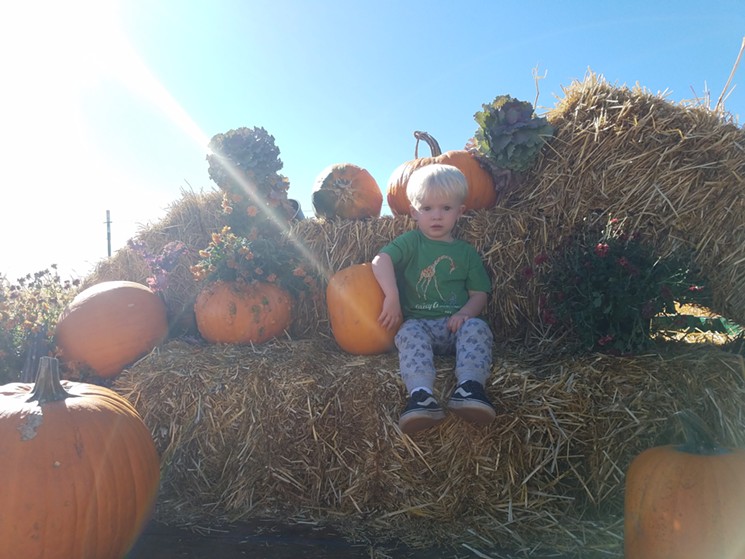 Pose with pumpkins and pick your own at Chatfield Farms. - LINNEA COVINGTON