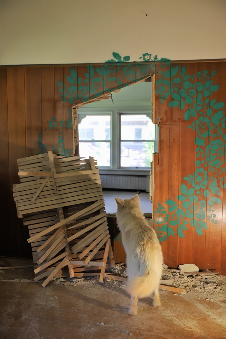 Simba as Blanca, peering through a cut-and-stenciled wall intervention. - COURTESY OF WE WERE WILD