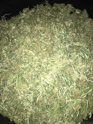 Confiscated hemp in Kansas. - COURTESY OF ERIC JENSEN