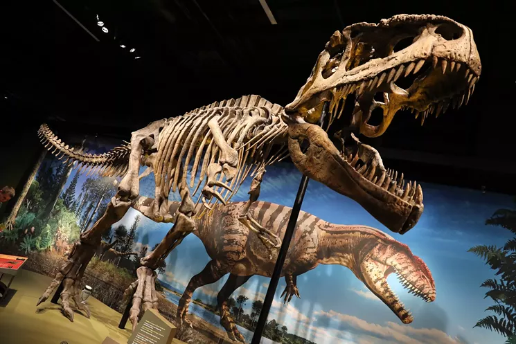 Even large cultural organizations like the Denver Museum of Nature & Science face a tough economic future. - AARON THACKERAY