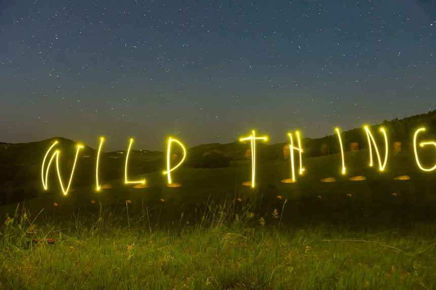 Wild Thing returns with another season, this one about extraterrestrial life and the people who obsess over it. - JAKE HOLSCHUH