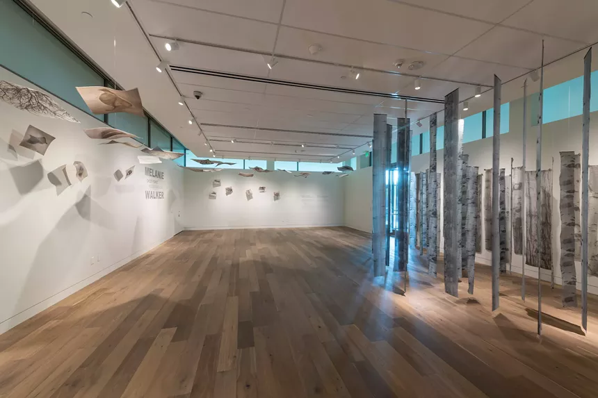 Melanie Walker, installation view of Ghost Forest, 2020. - PHOTO BY SCOTT DRESSEL-MARTIN, © DENVER BOTANIC GARDENS