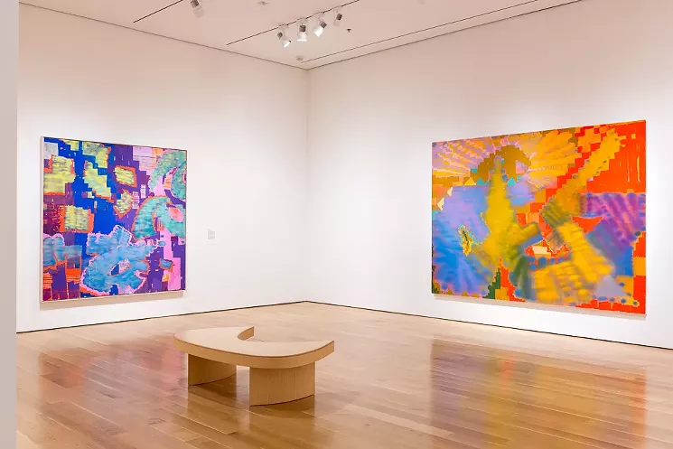 Keltie Ferris, O*P*E*N*, at the Speed Art Museum, 2019. Curated by Miranda Lash. - COURTESY OF MCA DENVER/MIRANDA LASH