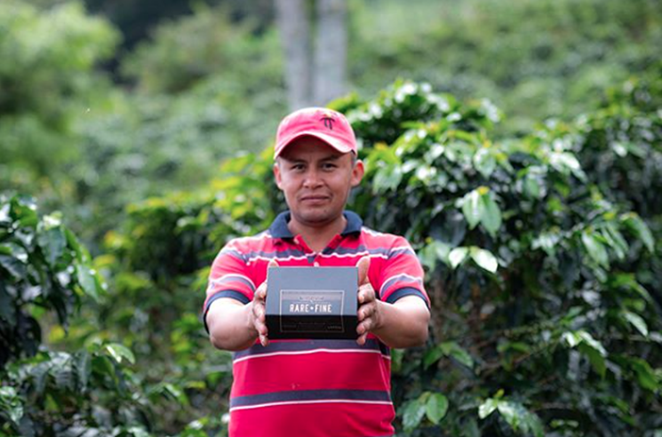 Christian Osorio's La Vega coffee is known for its blackberry notes. - PHILIP GOODLAXSON
