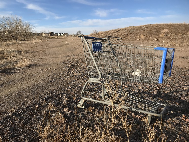 Sometimes you see wild animals, other times you see grocery carts. - KYLE HARRIS