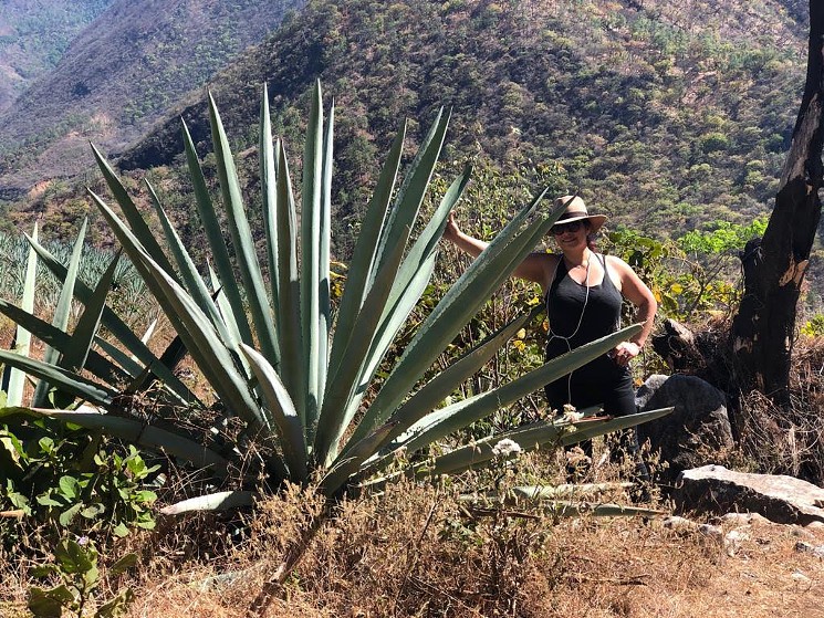 Chef Dana Rodriguez explores the hills of Oaxaca where mezcal is produced. - COURTESY DANA RODRIGUEZ