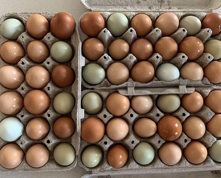 Fresh eggs are among the things you'll find at the City Park Farmers' Market. - CITY PARK FARMERS MARKET
