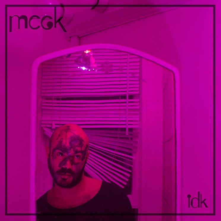 The meek EP, idk. - ALEXA BROWN