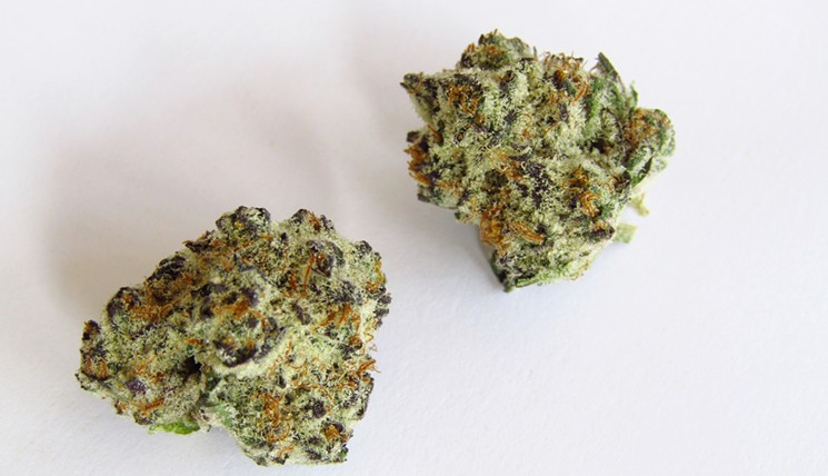 Bright-green cannabis buds Oreoz