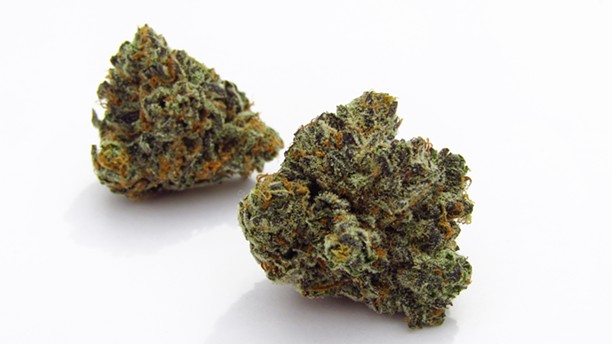 Blue Cheese marijuana strain