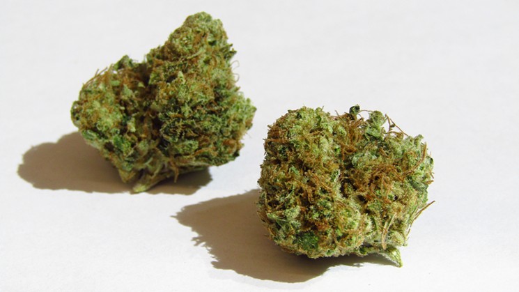 Chem 4 marijuana strain buds