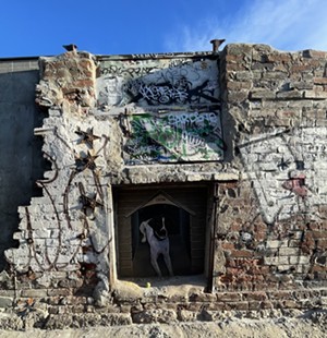 In an alley parallel to Larimer Street between 30th and 31st streets, a mural of a dog peeks out from a depression in the brick. - EMILY FERGUSON