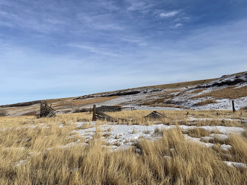 The refuge has rare prairie plants that could benefit from occasional fires. - CATIE CHESHIRE