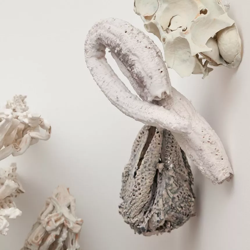 © Martha Russo, “Lightness of Being" (detail), porcelain slip, quotidian objects, glaze, metal rods, epoxy. - PHOTO BY WES MAGYAR
