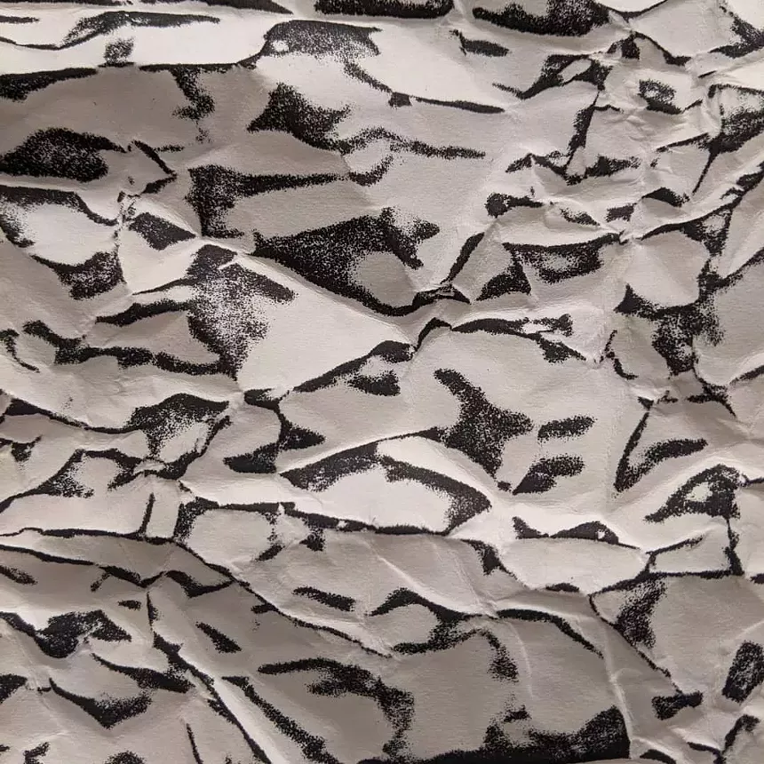Science meets engraving in the work of artist Raymundo Muñoz. - RAYMUNDO MUÑOZ